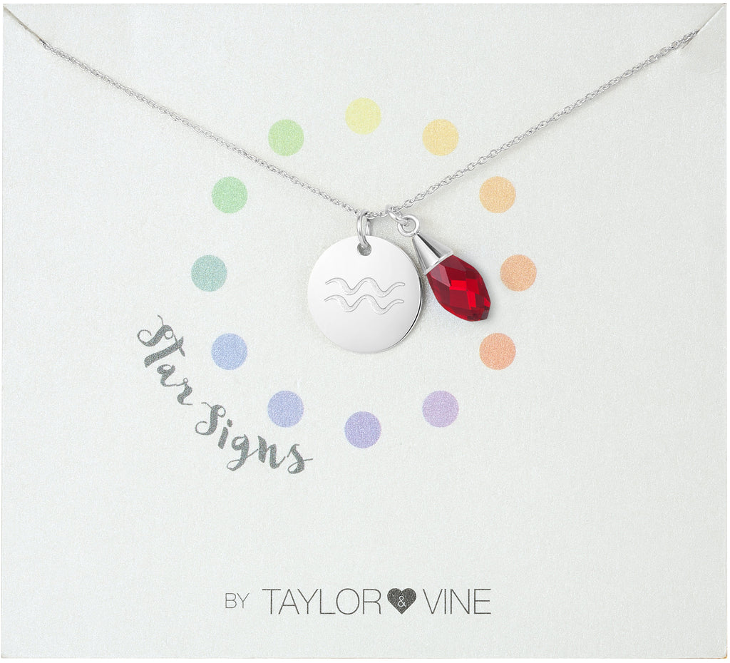 Taylor and Vine Star Signs Aquarius Silver Necklace with Birth Stone