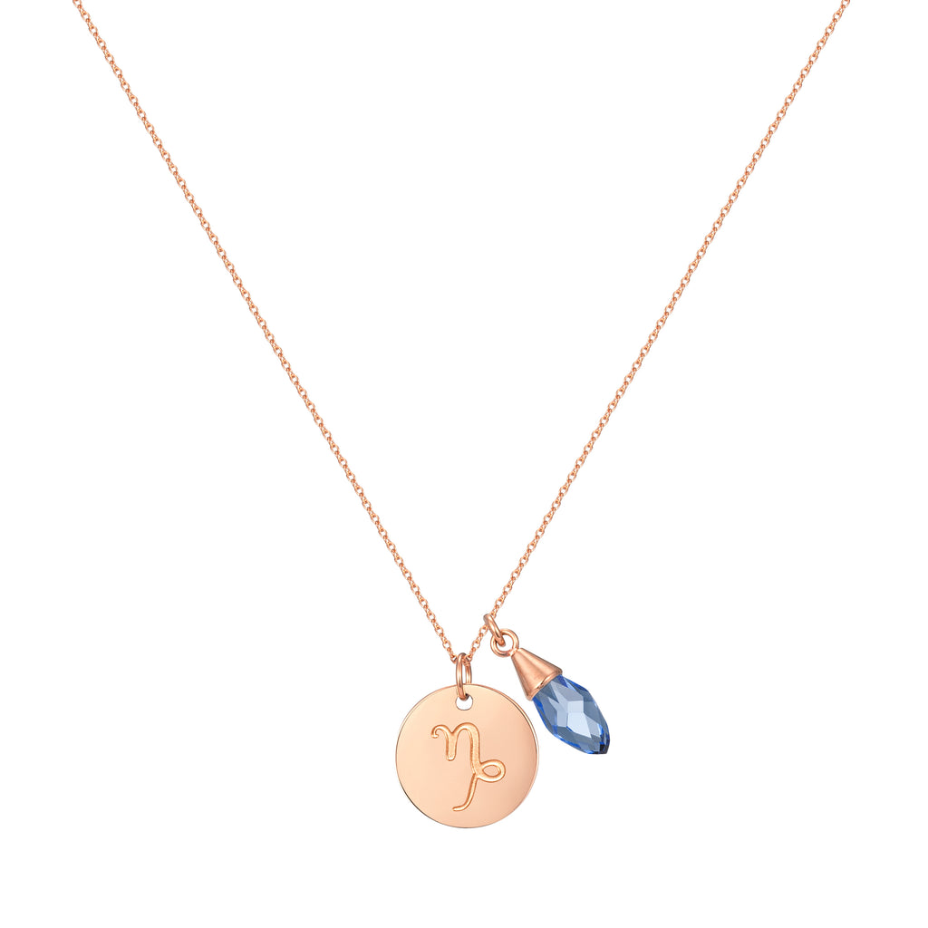 Taylor and Vine Star Signs Capricorn Rose Gold Necklace with Birth Stone 1