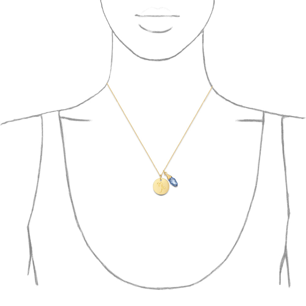Taylor and Vine Star Signs Capricorn Gold Necklace with Birth Stone 2